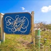 Отель Surfside Six E - Two Bedroom Condo, фото 17