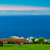 Отель In peaceful Prazeres overlooking the sea - The Old Cottage in Quinta Inácia, фото 19