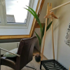 Отель studio B&B Zeeuws licht, фото 1