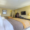 Отель Comfort Inn Chattanooga, фото 5