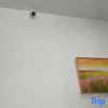 Отель Zhengxun Homestay, фото 4