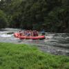 Отель Tarawera River Lodge/Motel, фото 14