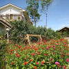 Отель Keumdang Art Valley, фото 2