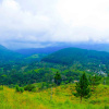 Отель Hill Forest Cottage, фото 11