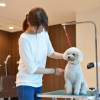 Отель Izumigo Toba Dog Paradise Hotel, фото 20