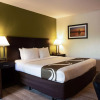 Отель SureStay Hotel by Best Western St. Pete Clearwater Airport, фото 4