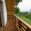Отель Vineyard cottage Rataj 2, фото 6