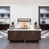 Отель Hampton Inn & Suites Chicago-North Shore/Skokie, фото 20