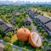 Отель Xiangyaoli Hostel, фото 15