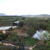 Отель Calitzdorp Country House, фото 15