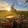 Отель Vacy Hunter Valley Lodge, фото 8