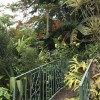 Отель Treetops Villa, фото 20