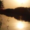 Отель Pfahlbau Rust/Neusiedlersee Sunset I, фото 45