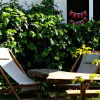 Отель Cunda Eren Otel, фото 13