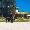 Отель Anna Maria Island Absolute Anna Maria-private Beach Access-heated Pool-wi-fi, фото 18