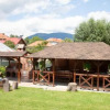Отель Rustic Argesean, фото 9