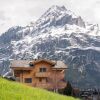 Отель Chalet Alia and Apartments-Grindelwald by Swiss Hotel Apartments, фото 24