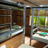 Отель Ganesha Kampot Eco Guesthouse, фото 3