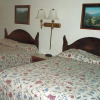 Отель Forest Lodge Motel, фото 2