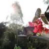 Отель Campestre El Cielo Jardin, фото 23