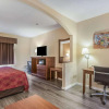 Отель Econo Lodge Inn & Suites, фото 20