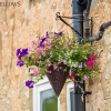 Отель The Oddfellows Arms, фото 8