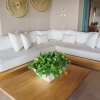 Отель Condo Mokusan in Tau Punta de Mita, фото 16