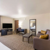 Отель Comfort Inn, фото 50
