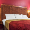 Отель Econo Lodge Rochester, фото 15