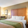 Отель Comfort Inn & Suites, фото 2