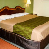 Отель Econo Lodge Texarkana I-30, фото 3