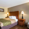 Отель Econo Lodge, фото 7