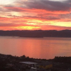 Отель Harbour Lodge Wellington, фото 20