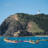 Отель Your Luxury Escape - Tradewinds 1, фото 10