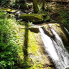 Отель Whispering Falls 2 Bedroom Cabin, фото 12