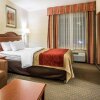 Отель Comfort Inn & Suites Galt - Lodi North, фото 41