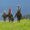 Отель Sundance Guest Ranch, фото 37