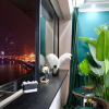 Отель Qing Apartment Chungking Express, фото 17