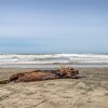 Отель Beach Me, фото 16
