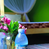 Отель Cycad Entebbe Guest House, фото 8