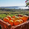 Отель Mediterranea Seaviews, фото 3