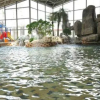 Отель Tangpo Hot Spring Resort, фото 20