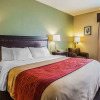 Отель Quality Inn, фото 4