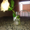 Отель Pousada Alexandrina, фото 7
