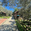 Отель ZeytinDagi Bungalow Butik Otel, фото 49