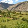 Отель Jallp'a Ecolodge Sacred Valley, фото 15