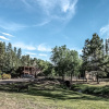 Отель Canyon Creek Lodge 137, фото 1