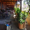 Отель Teras Paradise Guest House, фото 13