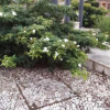 Отель Tramonto D'Occidente, фото 25