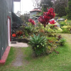 Отель Aloha Crater Lodge and Lava Tube, фото 33